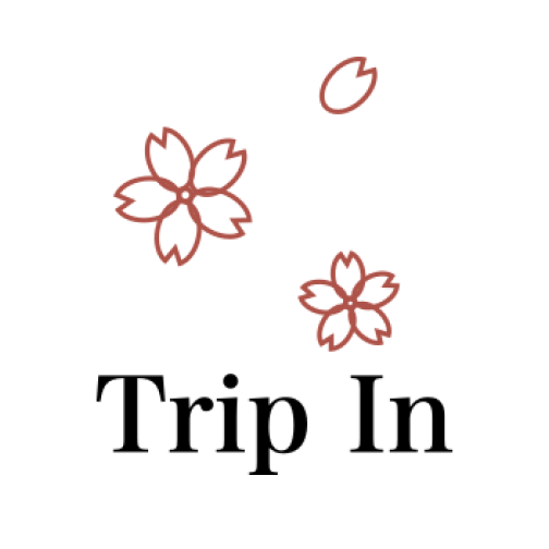 Trip In