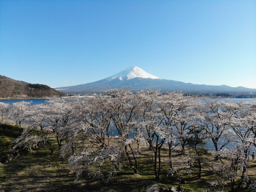 Lake Kawaguchiko